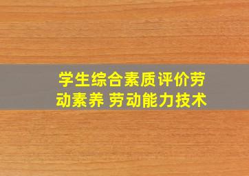 学生综合素质评价劳动素养 劳动能力技术